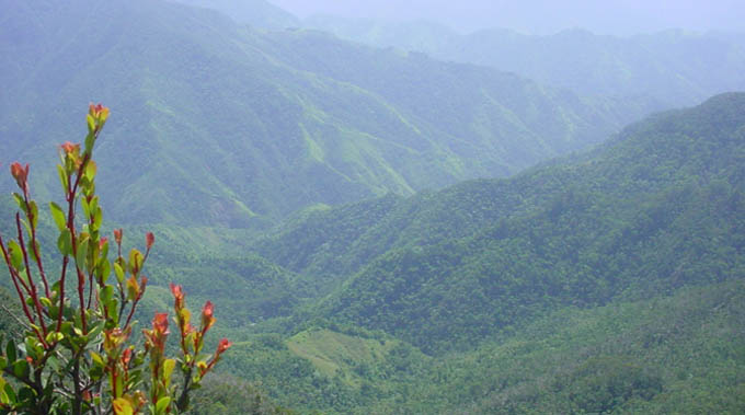 Desarrollan trabajadores del Parque Nacional Turquino programa de conservación