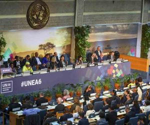 La ONU aprueba resolución cubana sobre aplicación de la economía circular en la caña de azúcar La ONU aprueba resolución cubana sobre aplicación de la economía circular en la caña de azúcar