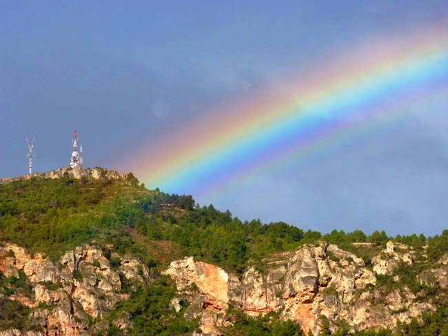 Un día para disfrutar los colores Un día para disfrutar los colores