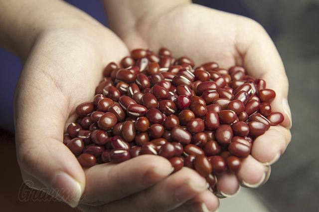 Anuncia FAO decisión de apoyar a Cuba en producción de semillas Anuncia FAO decisión de apoyar a Cuba en producción de semillas