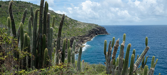 Más de 40 millones de latinoamericanos y caribeños que viven en zonas costeras vulnerables enfrentan amenazas de desastres climáticos Más de 40 millones de latinoamericanos y caribeños que viven en zonas costeras vulnerables enfrentan amenazas de desastres climáticos