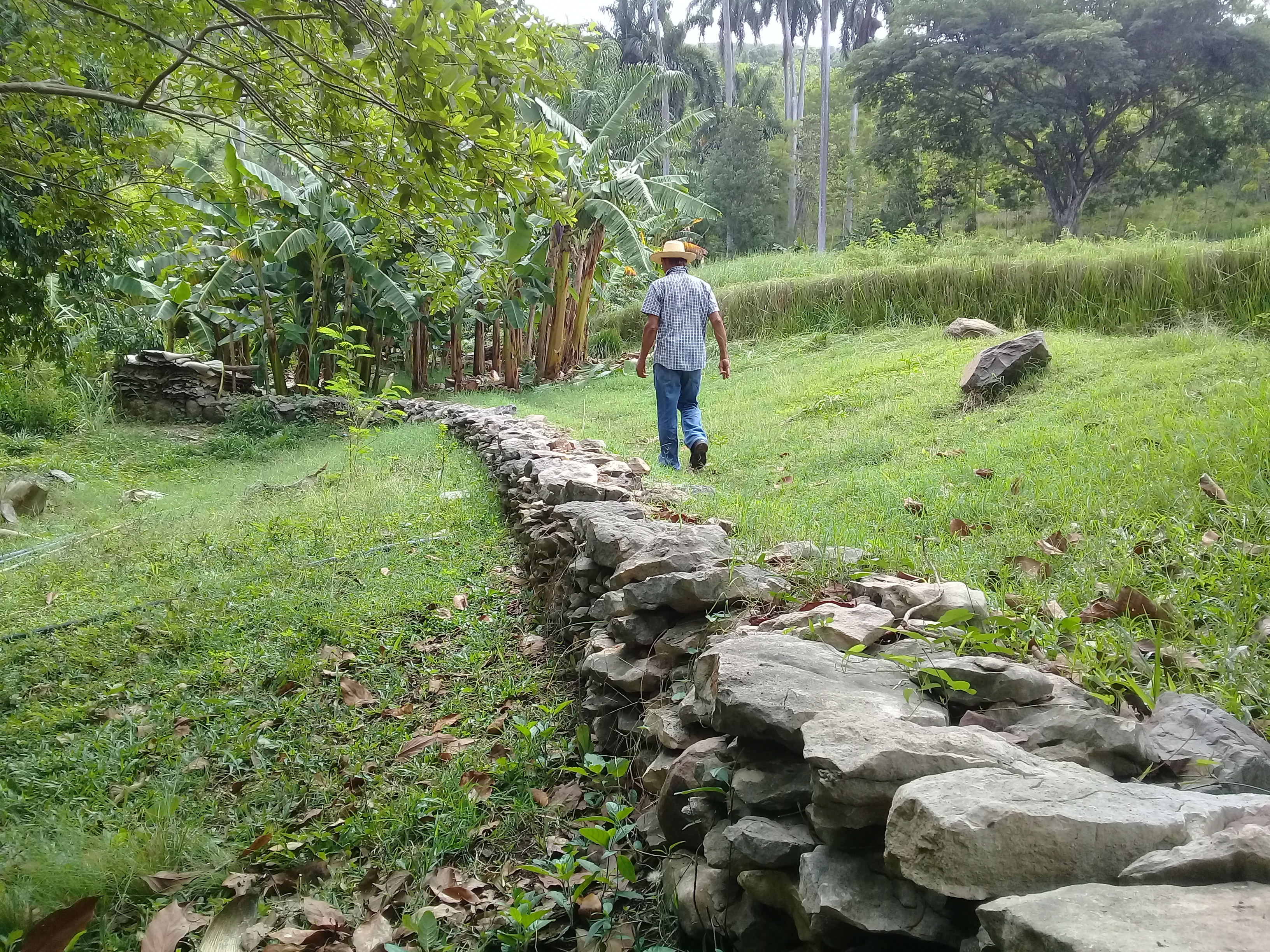 Buena tierra, buen futuro Buena tierra, buen futuro