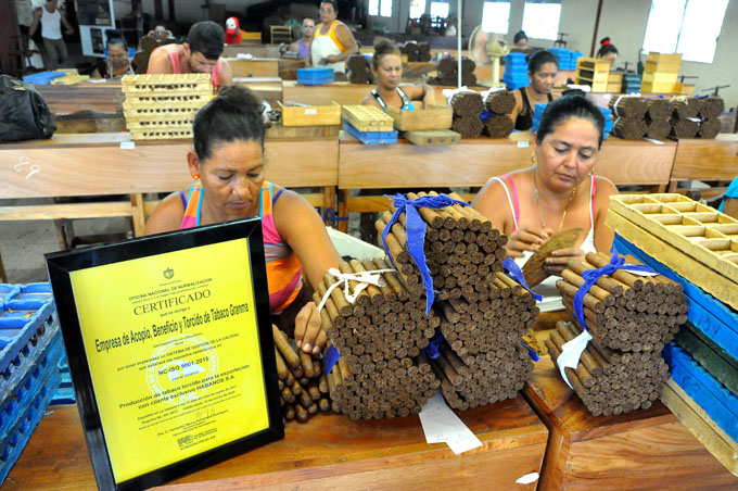 Desarrollan jornada por Día del trabajador tabacalero en Granma Desarrollan jornada por Día del trabajador tabacalero en Granma