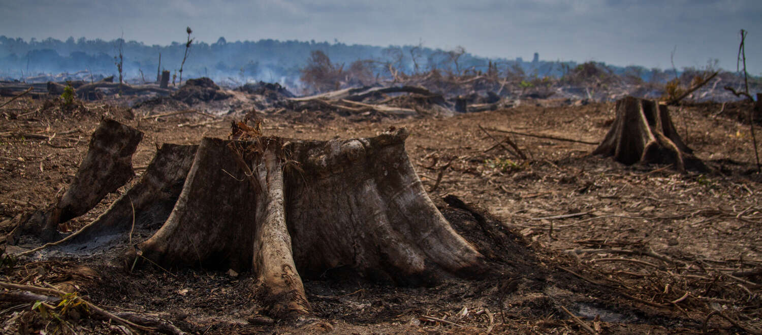 OMS presenta estrategia frente a impacto del cambio climático (+ video) OMS presenta estrategia frente a impacto del cambio climático (+ video)
