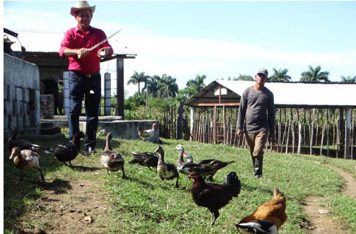 Preparan celebración por el Día del Campesino en Granma Preparan celebración por el Día del Campesino en Granma