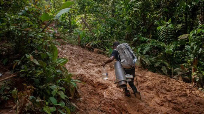 Crece tránsito de migrantes irregulares por Panamá Crece tránsito de migrantes irregulares por Panamá