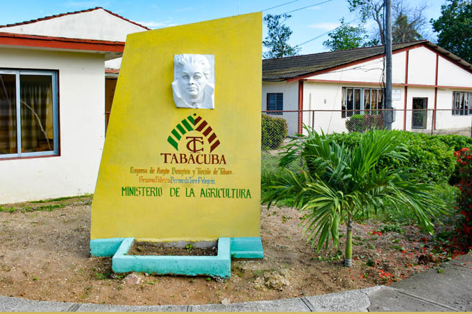 Reconocerán a tabacaleros en su día en Granma Reconocerán a tabacaleros en su día en Granma