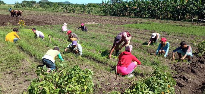 Busca sector educacional masoense soberanía alimentaria y nutricional Busca sector educacional masoense soberanía alimentaria y nutricional
