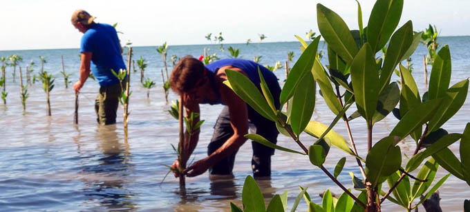 Definen en Granma líneas de investigación para proyectos ambientales Definen en Granma líneas de investigación para proyectos ambientales
