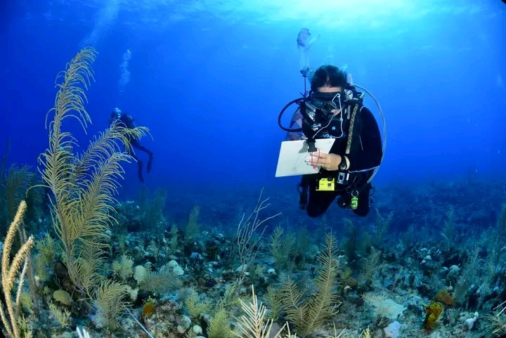 Sismólogos de seis países en expedición científica en aguas cubanas Sismólogos de seis países en expedición científica en aguas cubanas