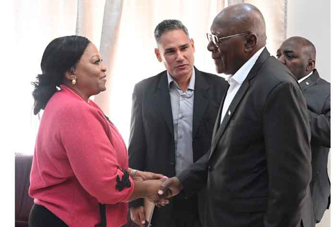 Dirigente del ANC dialoga en Sudáfrica con vicepresidente cubano