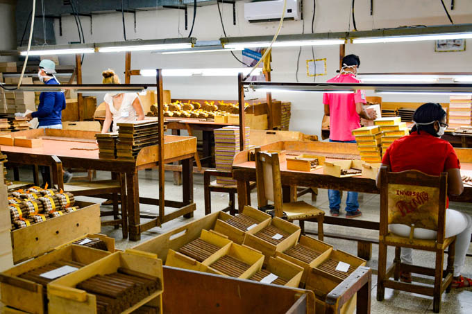 Granma continúa sus aportes en rama tabacalera Granma continúa sus aportes en rama tabacalera