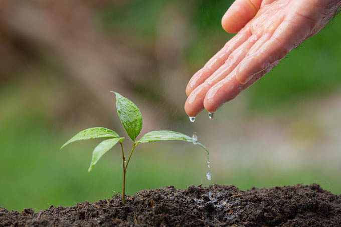 Biodiversidad y sequía en Día Mundial de Medio Ambiente en Cuba Biodiversidad y sequía en Día Mundial de Medio Ambiente en Cuba