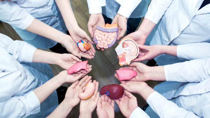 Celebran Día Mundial de los Pacientes Trasplantados
