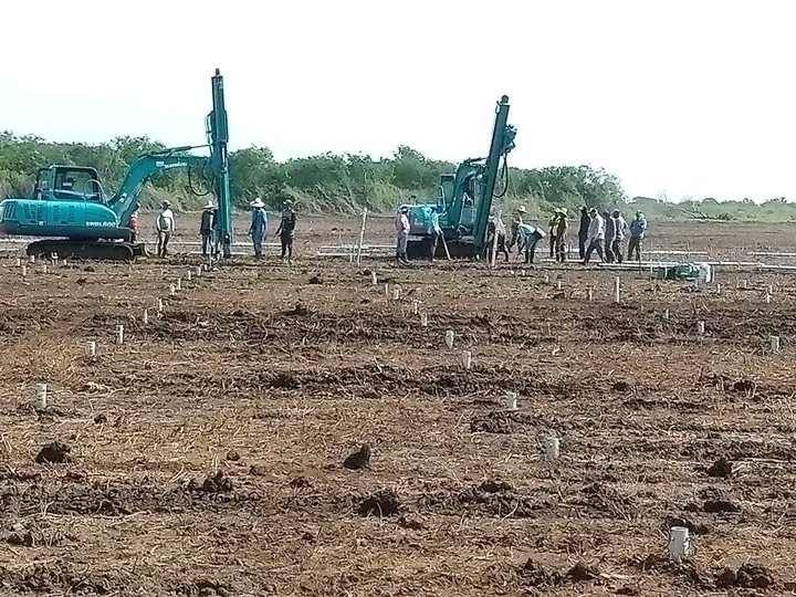 Los “rinocerontes” invaden La Sabana