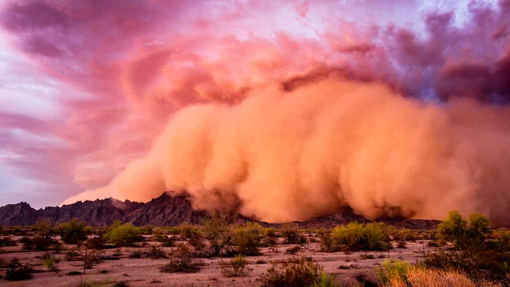 ONU dedica próximo decenio a combatir tormentas de arena y polvo ONU dedica próximo decenio a combatir tormentas de arena y polvo