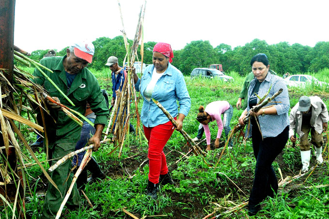 Realizan trabajo voluntario en saludo al 26 de julio Realizan trabajo voluntario en saludo al 26 de julio