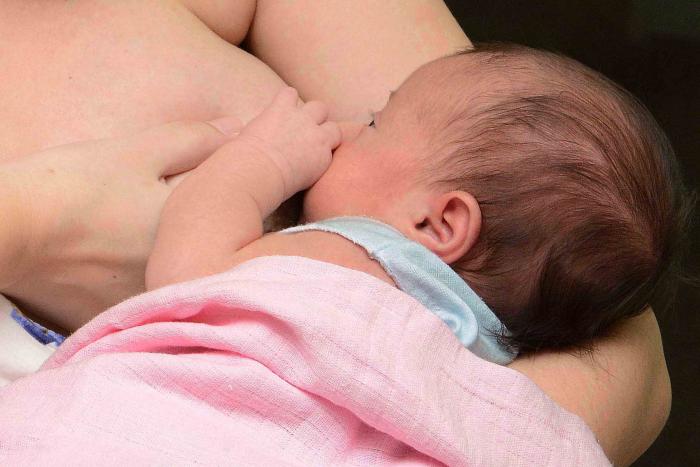 Se reducen las tasas de mortalidad infantil y materna, pero también son menos los nacimientos Se reducen las tasas de mortalidad infantil y materna, pero también son menos los nacimientos