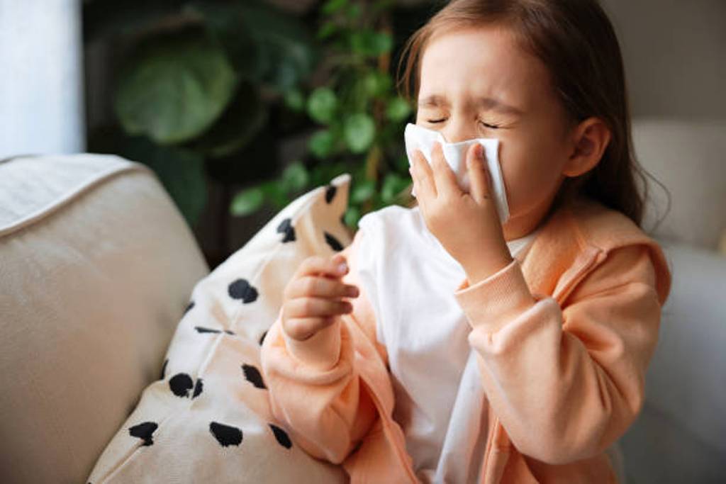 Hoy es el Día mundial de la alergia Hoy es el Día mundial de la alergia