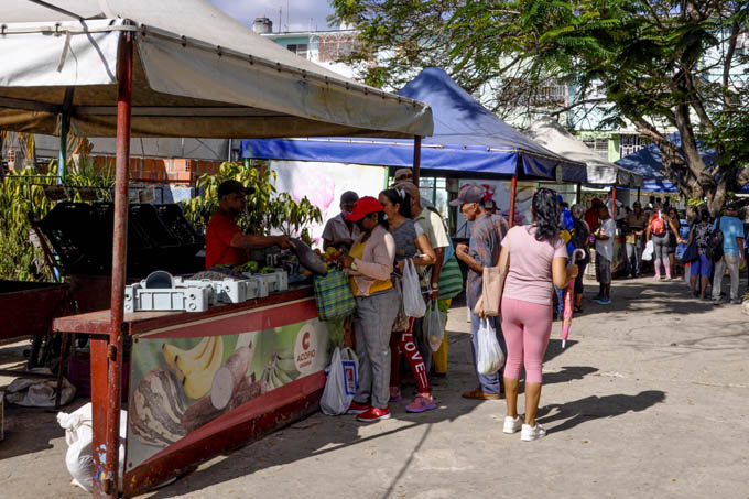 Recibirán colectivos agropecuarios reconocimiento Sendero por la victoria en Granma Recibirán colectivos agropecuarios reconocimiento Sendero por la victoria en Granma