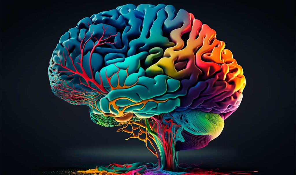 Hoy es el Día mundial del cerebro