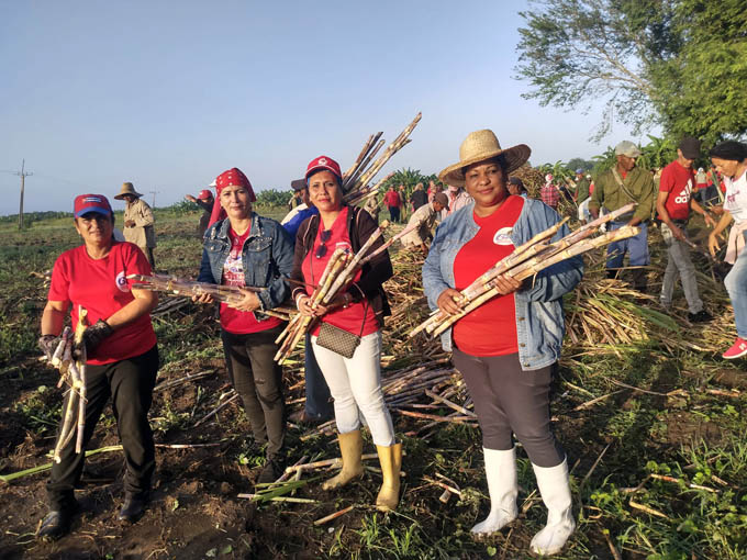 Reconocen labor de la Federación de Mujeres Cubanas en municipio de Río Cauto Reconocen labor de la Federación de Mujeres Cubanas en municipio de Río Cauto