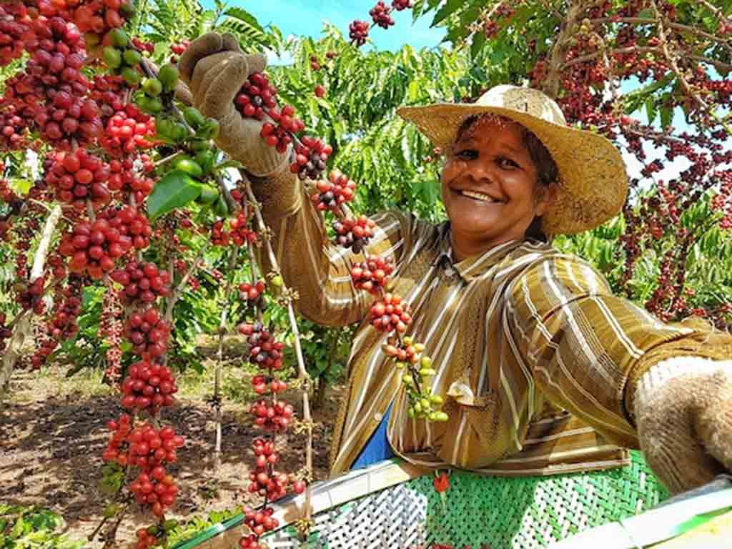 ONU designa al 6 de julio como Día Mundial para Desarrollo Rural ONU designa al 6 de julio como Día Mundial para Desarrollo Rural