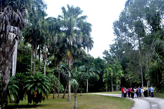 Cupaynicú y las bellezas naturales de Cuba Cupaynicú y las bellezas naturales de Cuba