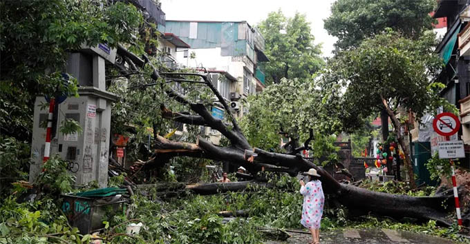 Vietnam trabaja por resarcir daños ocasionados por supertifón Yagi