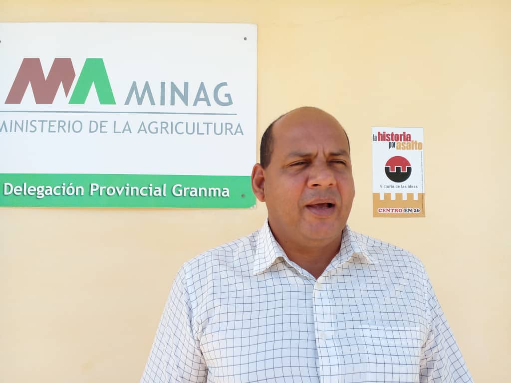 Granma trabaja en la recuperación agropecuaria Granma trabaja en la recuperación agropecuaria