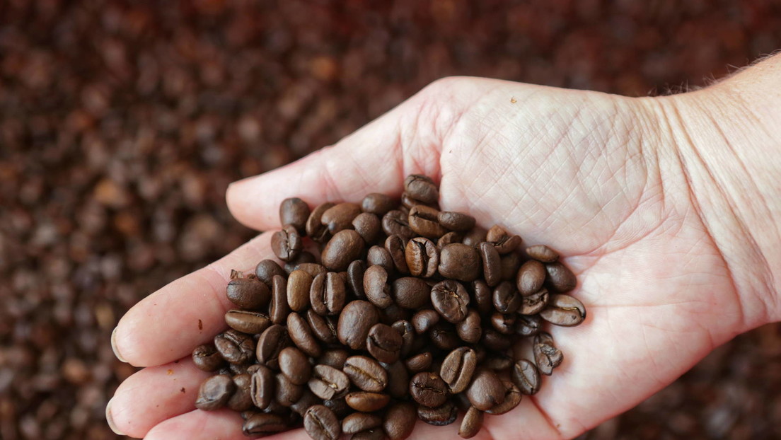 Los precios del café alcanzan su nivel más alto desde 1972 Los precios del café alcanzan su nivel más alto desde 1972