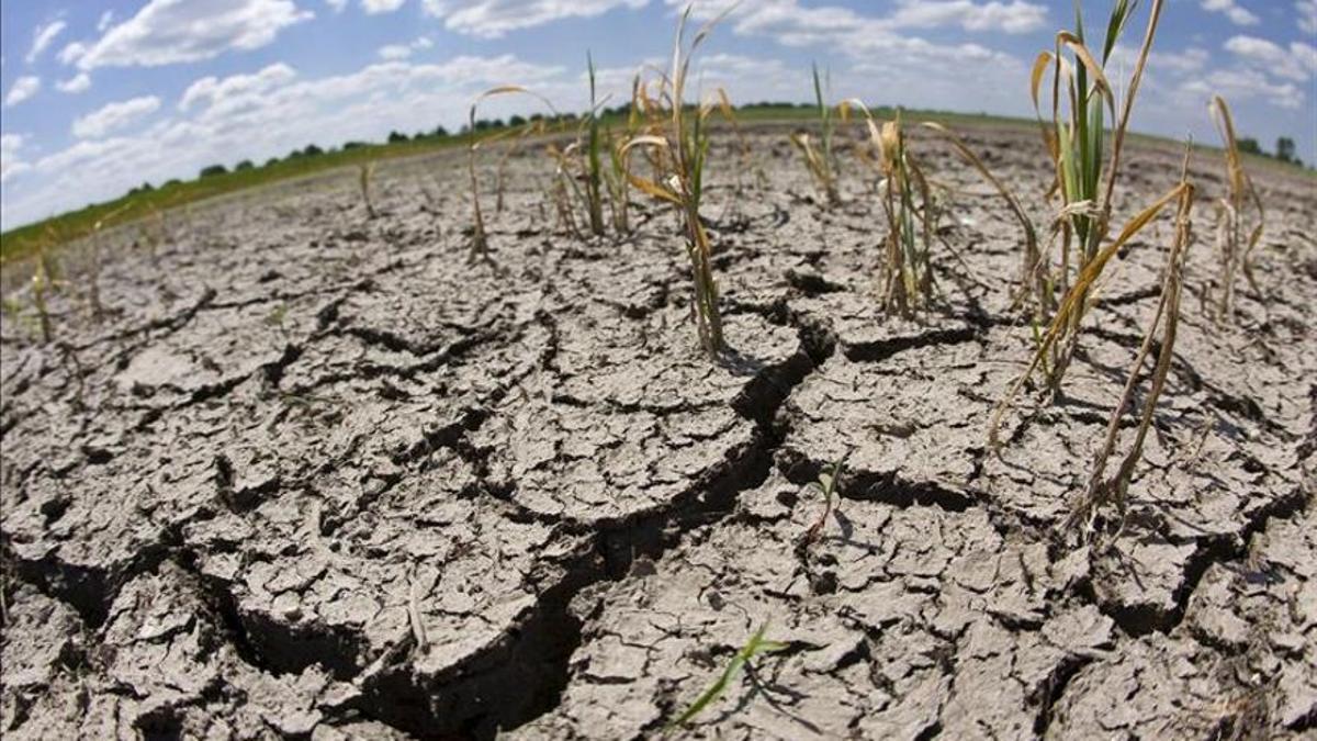 Cuidar los suelos, prioridad para la supervivencia del planeta Cuidar los suelos, prioridad para la supervivencia del planeta