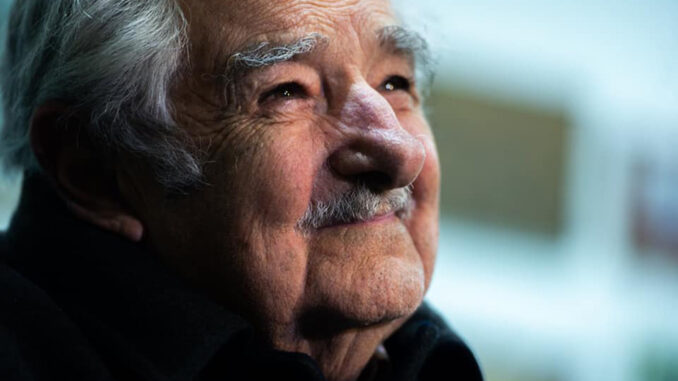 José Mujica tranquilo en su chacra en Uruguay José Mujica tranquilo en su chacra en Uruguay