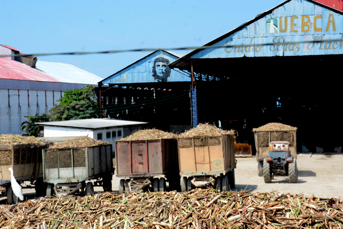 Produce azúcar el Enidio Díaz, de Campechuela Produce azúcar el Enidio Díaz, de Campechuela