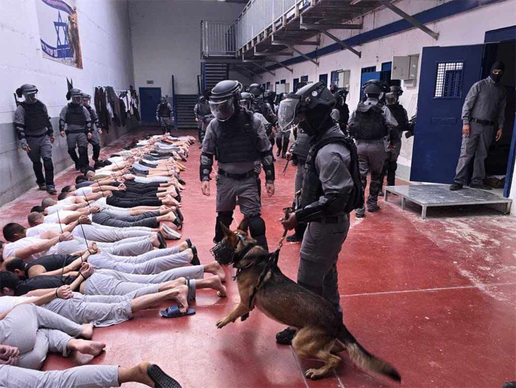 Denuncian torturas y grave crisis de salud en cárceles israelíes Denuncian torturas y grave crisis de salud en cárceles israelíes