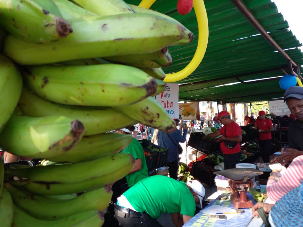 Siguen las ferias como opción comercial en Granma Siguen las ferias como opción comercial en Granma