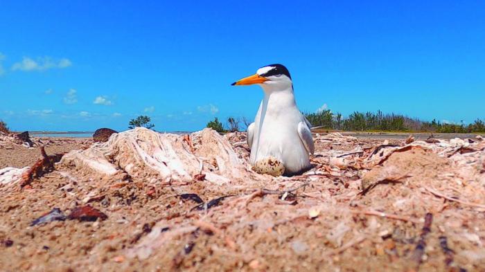Tres nuevas áreas protegidas en la catedral natural de Cuba