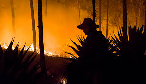 Informa Cuerpo de Guardabosques sobre incendios forestales Informa Cuerpo de Guardabosques sobre incendios forestales