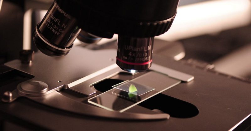 Francia a la caza de científicos de todo el planeta Francia a la caza de científicos de todo el planeta