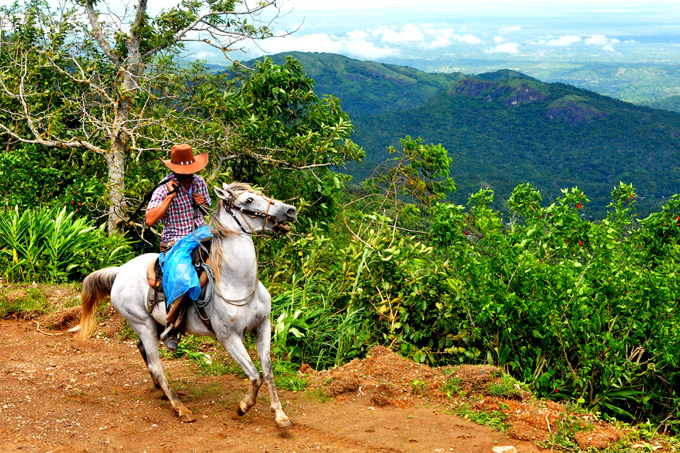 Día internacional de la Diversidad biológica: El Tesoro Verde de Cuba (+ fotos) Día internacional de la Diversidad biológica: El Tesoro Verde de Cuba (+ fotos)