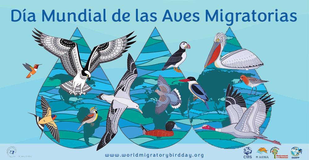Conservar especies y sus hábitats, en el Día de las Aves Migratorias Conservar especies y sus hábitats, en el Día de las Aves Migratorias