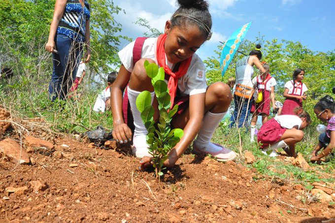 Celebrará Granma el Día Mundial del Medio Ambiente Celebrará Granma el Día Mundial del Medio Ambiente