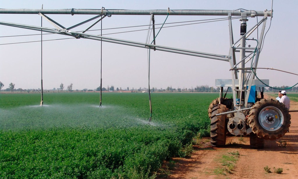 Cooperación italiana beneficia producción agropecuaria en Cuba