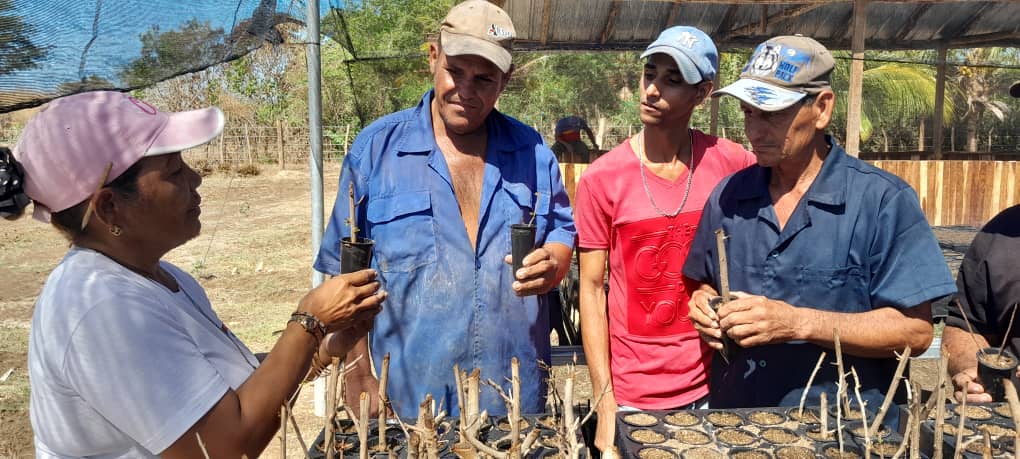 Simiente de resiliencia climática en Granma Simiente de resiliencia climática en Granma