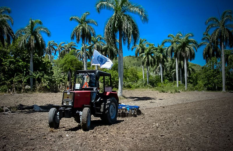 Preparan PMA y Unicef proyecto de seguridad alimentaria en Cuba