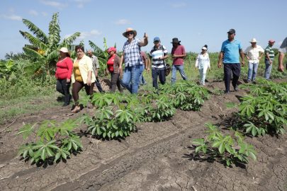 Convocan a convertir las excepciones en regla en producción de alimentos