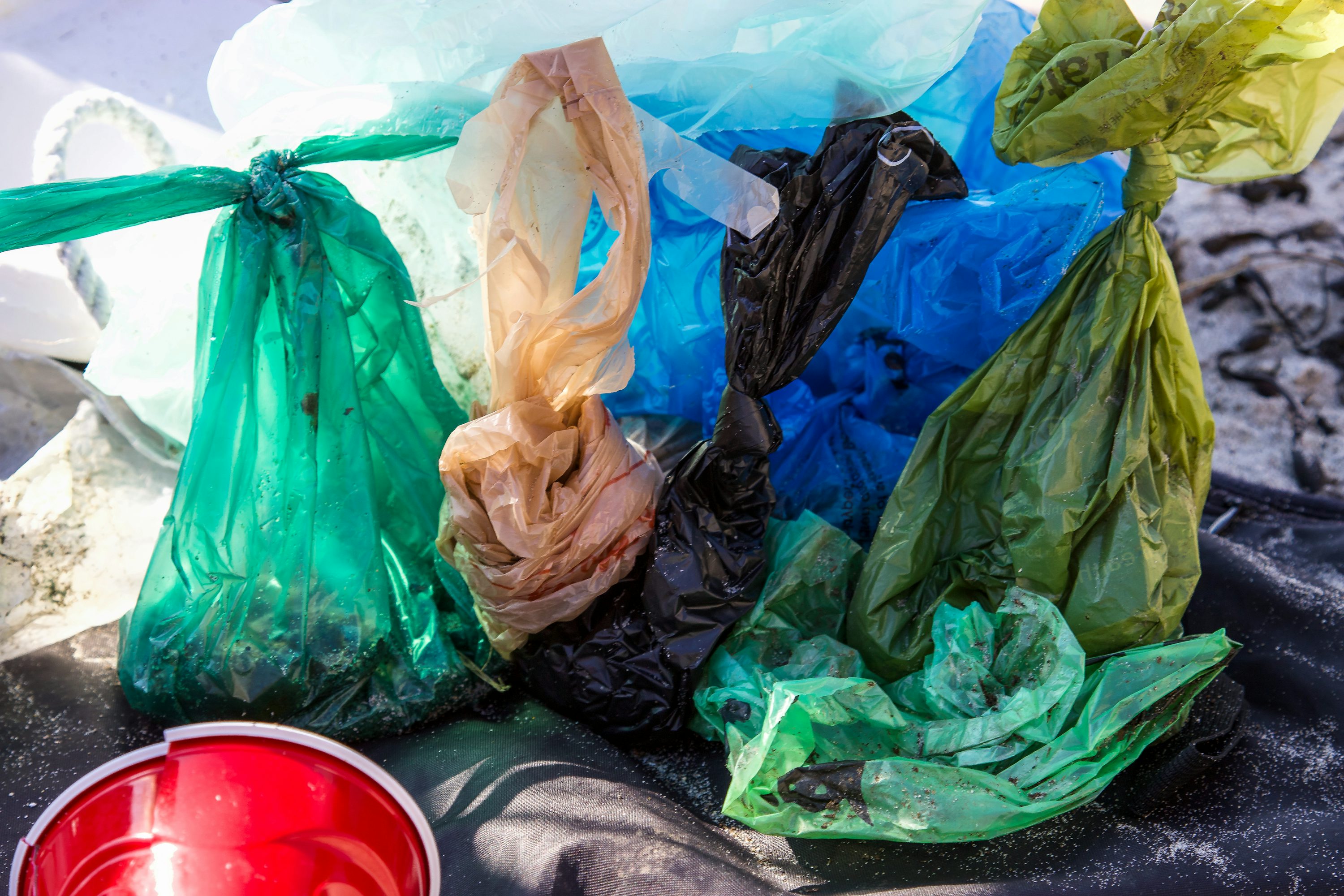 Cuidado con los bolsos de plástico Cuidado con los bolsos de plástico