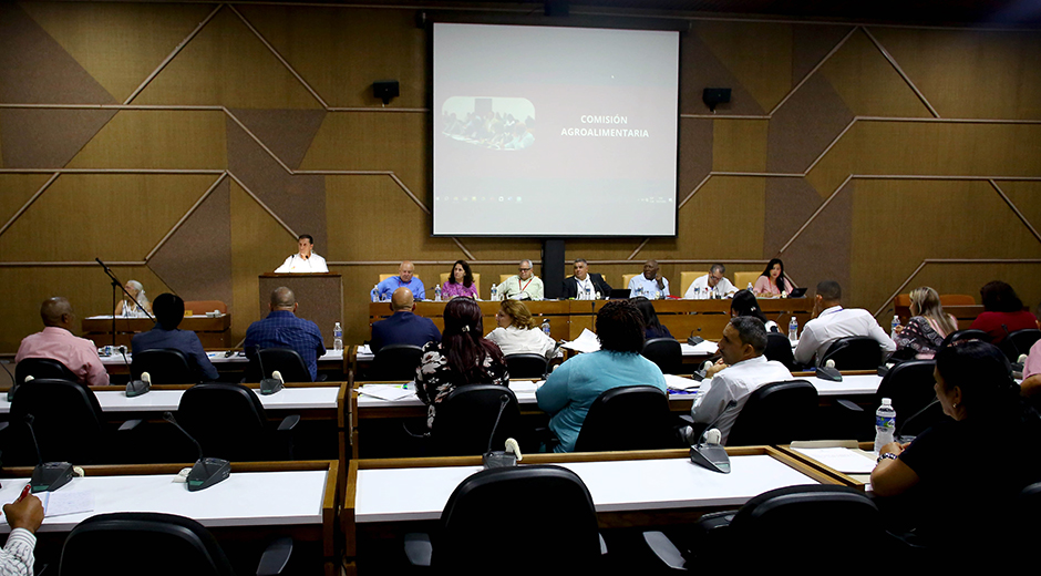 Diputados analizan medidas para detener decrecimiento de la ganadería cubana Diputados analizan medidas para detener decrecimiento de la ganadería cubana