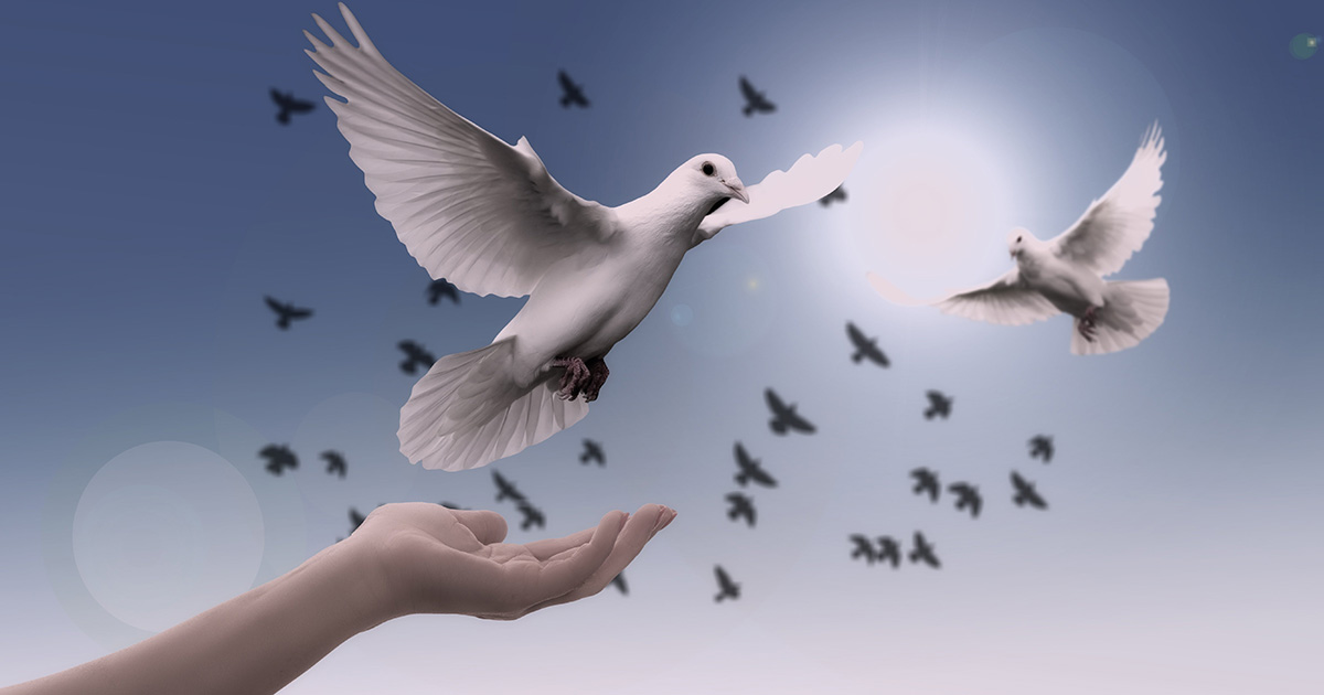 La esperanza es también paz y desarrollo