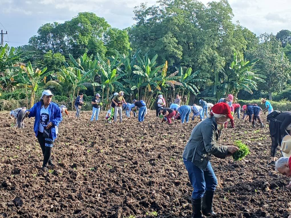 Ahorra sector educacional masoense en un año más 5 millones de pesos en producción de alimentos Ahorra sector educacional masoense en un año más 5 millones de pesos en producción de alimentos